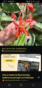 Screenshot_20260314-183741_Samsung Internet.jpg