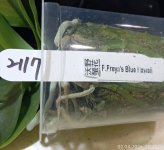IMG_20260402_234240.jpg