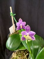 IMG_20260405_175644.jpg