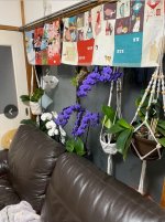 IMG_20260517_182755.jpg