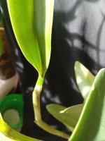 IMG_20260518_141923.jpg