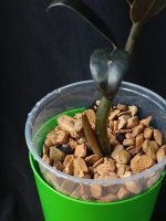 IMG_20260518_195455.jpg