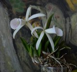 DSC_0669.JPG