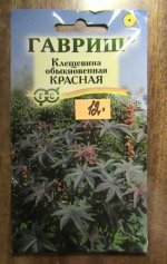 Изображение 017.jpg