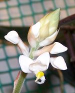 100_8181.jpg