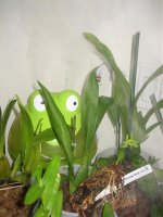 IMG_4529.jpg