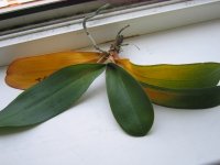IMG_0019.jpg
