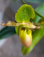 IMG_8472.jpg