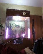 SP_A0223.jpg
