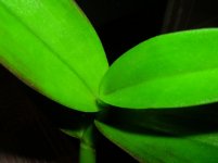 DSCN6910.jpg
