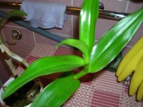 DSCN6922.jpg