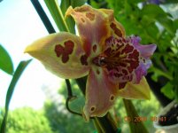 DSCN4972.jpg