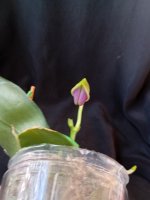 IMG_20260601_130550.jpg