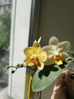 IMG_20260601_095737.jpg