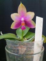 IMG_20260602_145703.jpg