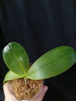 IMG_20260609_200412.jpg