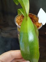IMG_20260609_200757.jpg