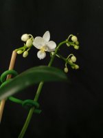 IMG_20260609_195409.jpg