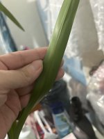 IMG_7908.jpeg