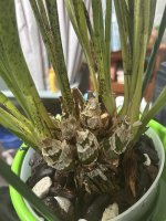 IMG_7909.jpeg