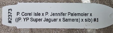 20260805_105224.jpg