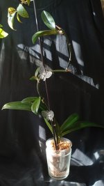 IMG_20260809_162941.jpg