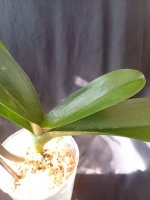 IMG_20260809_162755.jpg