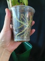 IMG_20260816_161259.jpg