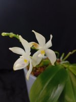 IMG_20260818_175428.jpg