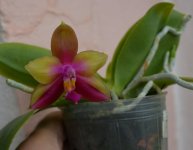 DSC_0126.JPG