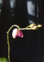 IMG_20260903_172826.jpg