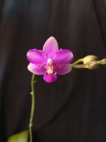 IMG_20260904_161655.jpg
