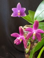 IMG_20260927_163252.jpg