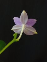 IMG_20260927_163531.jpg