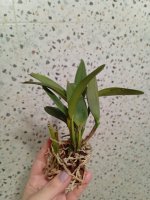 IMG_20261022_004546.jpg