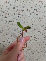 IMG_20261022_004626.jpg