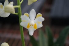 DSC05360.jpg