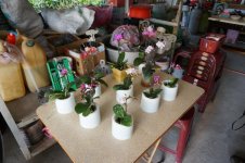 DSC05401.jpg