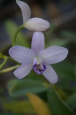 DSC05443.jpg