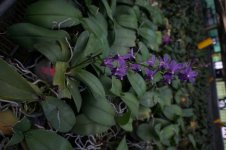 DSC05544.jpg