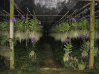 IMG_8281.jpg