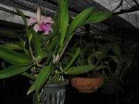 IMG_8291.jpg