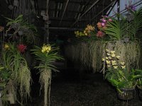 IMG_8322.jpg