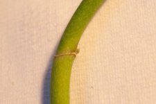 2013_11_11-12-56-20.jpg