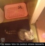 китя.jpg