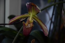 DSC_3889.jpg