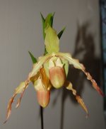 DSC_2028.JPG