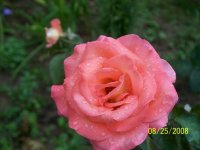 100_0329.jpg