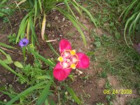 100_0279.jpg