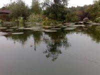 07.jpg